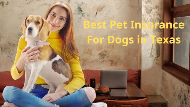 best pet insurance for dogs in texas