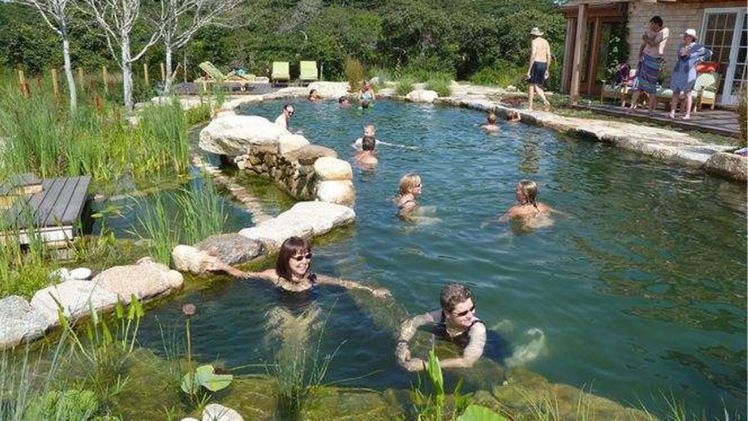 small backyard natural swimming pools